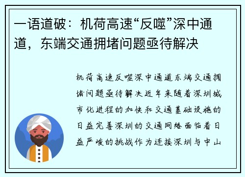 一语道破：机荷高速“反噬”深中通道，东端交通拥堵问题亟待解决